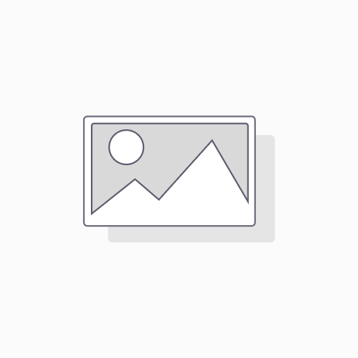 [J03748] LOMEY UNIVERSAL PIECE  #1331    X 1